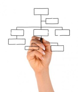 A blank org chart with someone adding to it