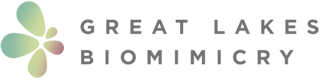 Great Lakes Biomimicry Logo