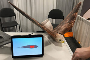 The Robird at CES 2017