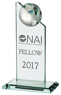 NAI Fellowship_Micro